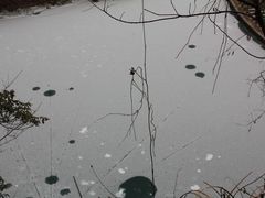 -大明山自然探索公园