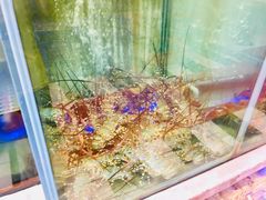 -旅南活海鲜-屏东(墾丁海鮮，海鮮餐廳，墾丁團體合菜，平價熱炒，墾丁熱炒店，活海鮮推薦，在地海鮮餐廳)