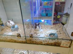 -凯德广场(武胜路店)