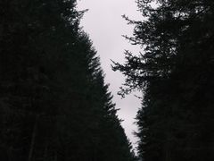 -硗碛藏寨·神木垒景区