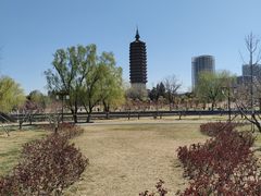 -西海子公园