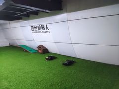 -东莞市科学技术博物馆
