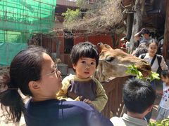 -长鹿旅游休博园