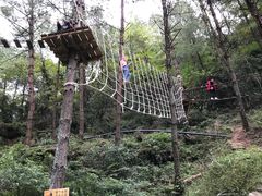 -梦幻奥陶纪景区