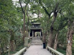 -蒋氏故居