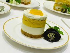-COVA(上海K11艺术中心店)