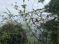 -敬亭山风景名胜区