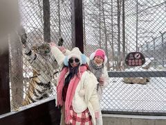 -横道河子东北虎林园