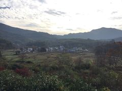 -塔川景区