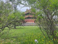 -北陵公园