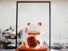 -柴务处·柴犬主题狗咖