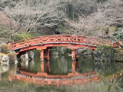 -醍醐寺