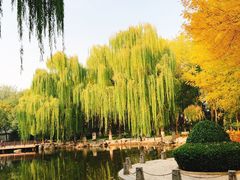 -玲珑塔公园