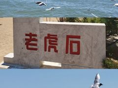 -老虎石海上公园