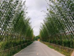 -桤木河湿地公园