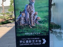 -罗红摄影艺术馆