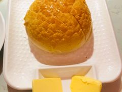 -南枝记