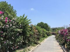 -太阳宫公园