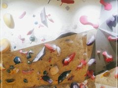 -香蕉攀岩(上地店)