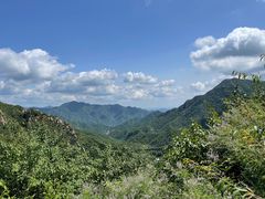-大岭沟猕猴桃谷风景区