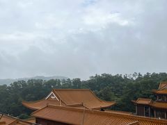 -深圳仙湖植物园