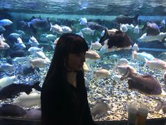 -成都浩海立方海洋公园