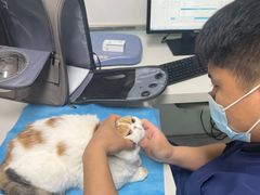 -达爱动物医院·犬猫分区·CT·复杂眼科(远洋山水分院)
