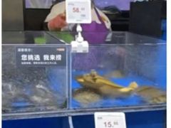 -新农都水产市场