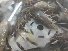 -争先鲜·蒸汽海鲜自助·鲜切牛肉