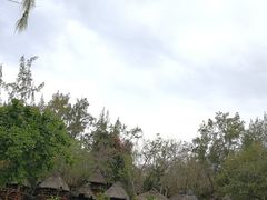 -塞尔夫岛