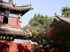 -洛阳白马寺