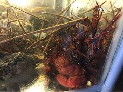 iphone_upload_pic-垦丁辉哥生鱼片