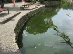 -水前寺成趣园