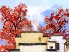 -塔川景区