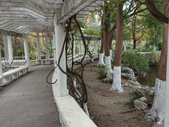 -范蠡湖公园