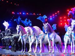 -珠海横琴长隆《卡卡虎奇遇记》