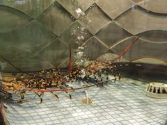 -新海利海鲜城·41年珠海老字号(夏湾店)