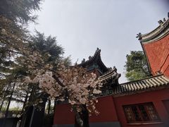 -洛阳白马寺
