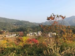 -塔川景区