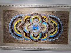 -上海昆虫博物馆