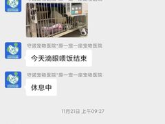 -守诺宠物医院·眼科· 特色牙科·异宠专科(虹口店)