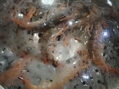 -海大大蒸汽海鲜餐厅·粤菜·特色小炒(欢乐颂店)