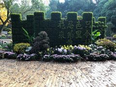-汇龙潭