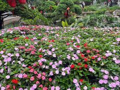 -聚福宝合苑食府(南头镇店)