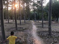 -北京麋鹿生态实验中心