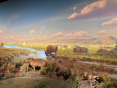 -陕西自然博物馆