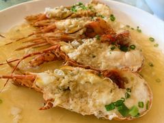 小青龙-骏莱海鲜鱼港(五角场店)