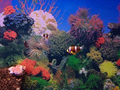 -泉州海丝野生动物世界