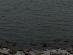-碧海金沙