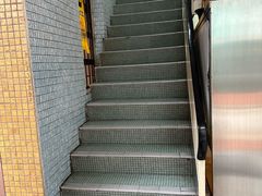 -新陶陶酒家